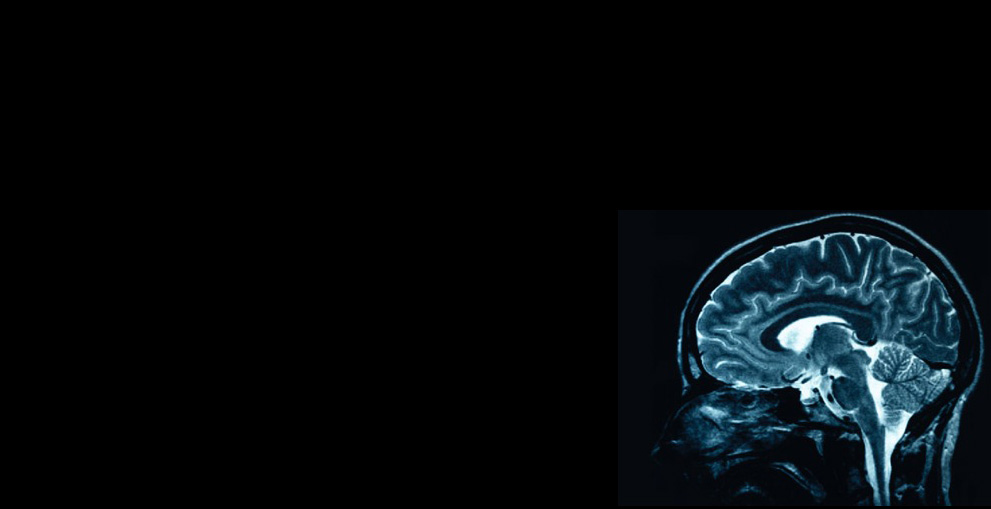 neuropsychology