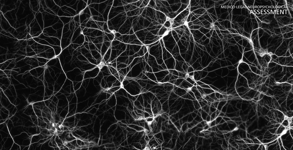 forensic neuropsychology