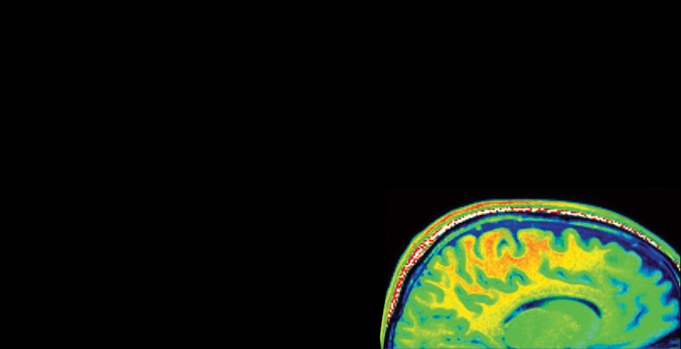 neuropsychology